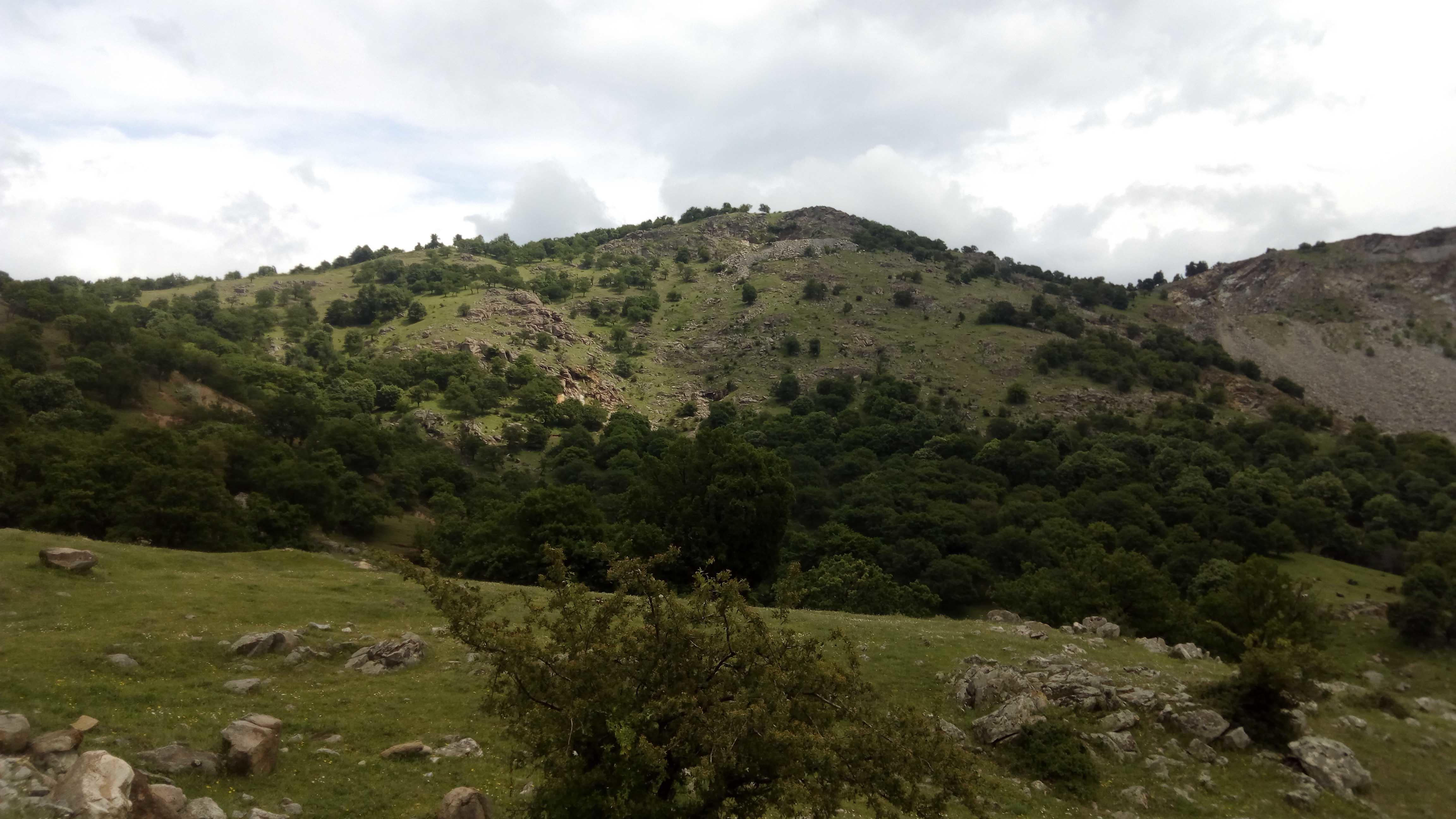 Varful Tutuiatu, vazut la coborare spre localitatea Greci.